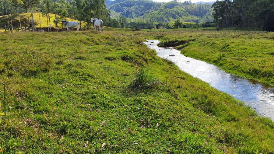 S�tio - Venda - Campo Novo - Tijucas - SC